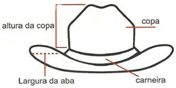 Conheça algumas gírias do Cowboy/Country - VP Country Ville